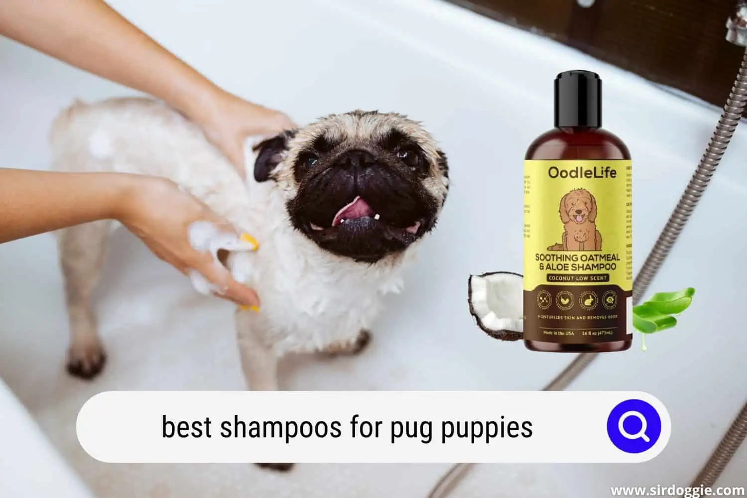best shampoos for pug puppies
