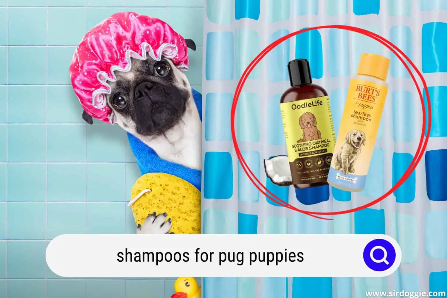 shampoos for pug puppies