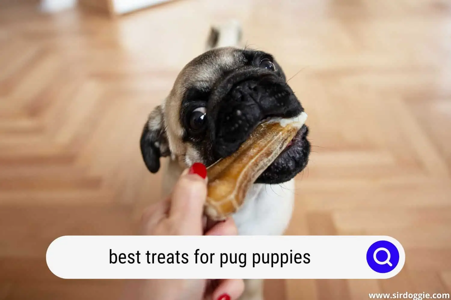 best treats for pug puppies