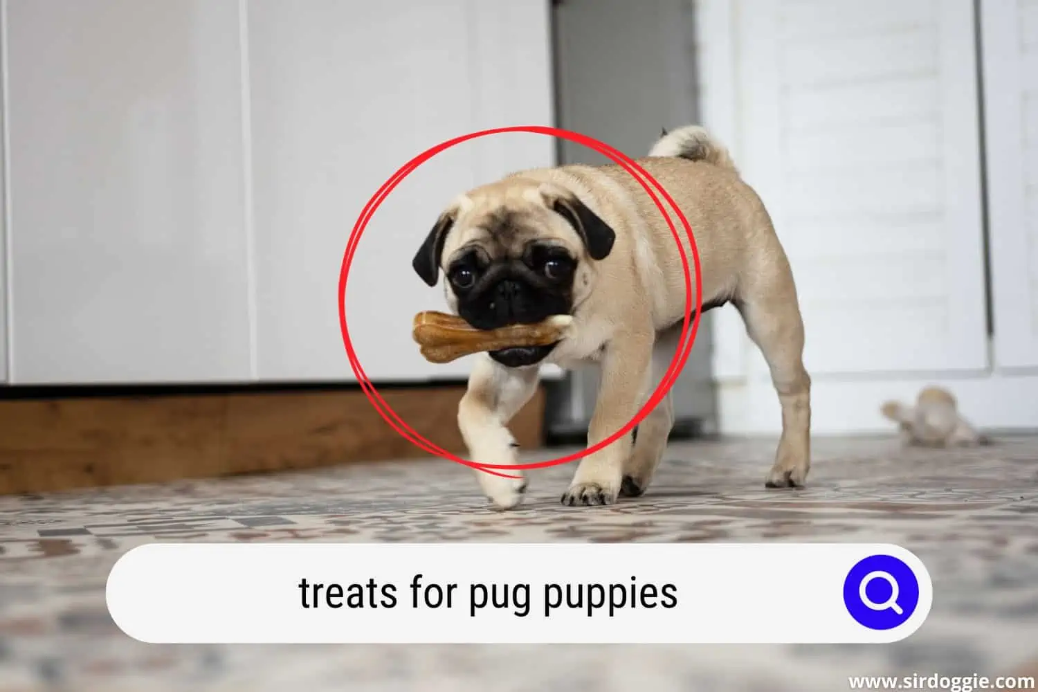 treats for pug puppies