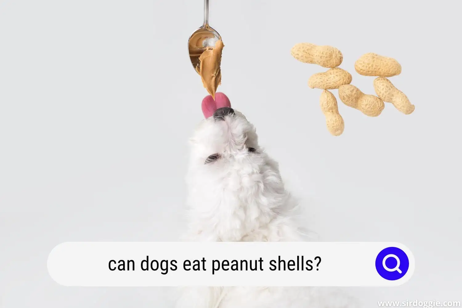 can dogs eat peanut shells