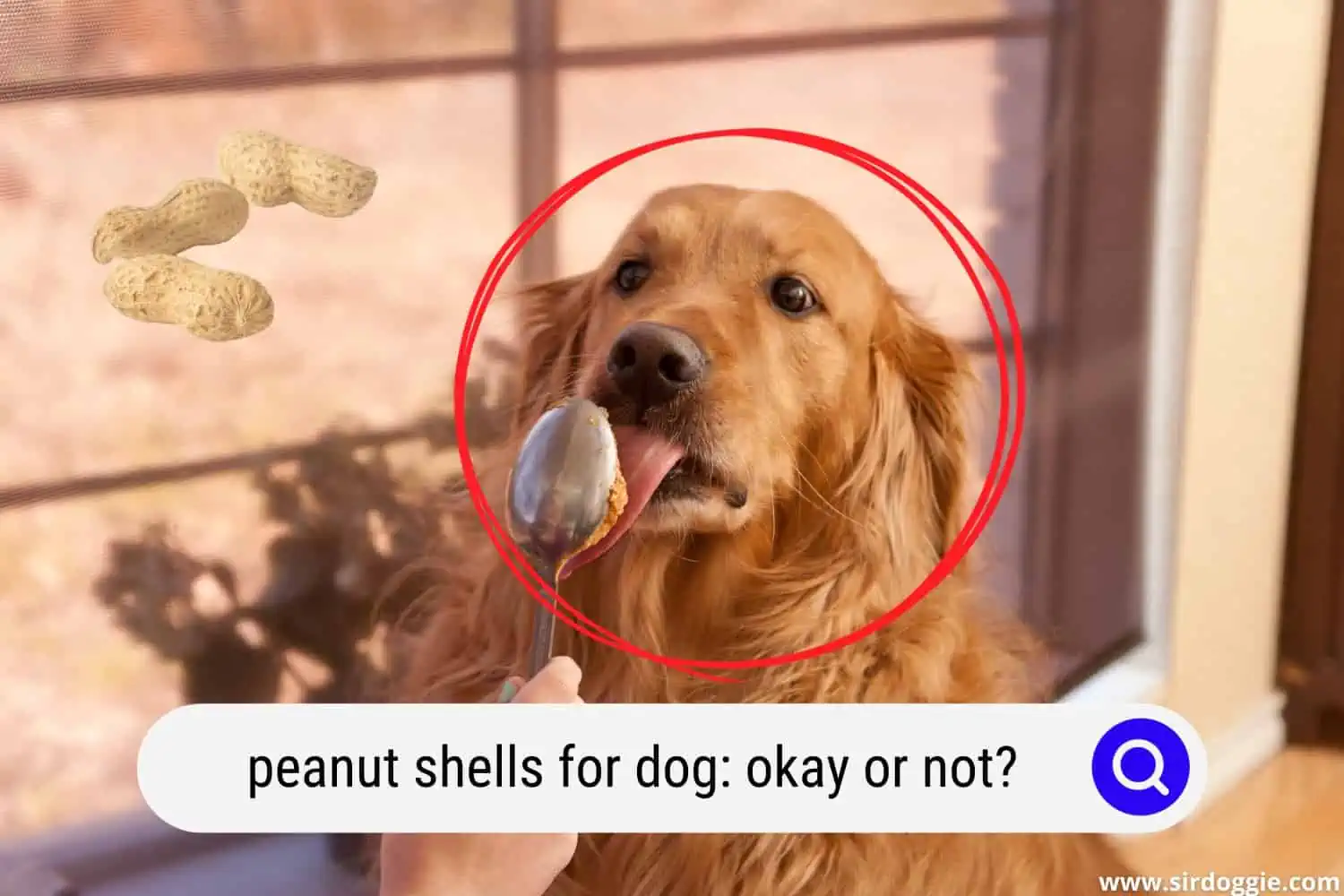 peanut shells for dog
