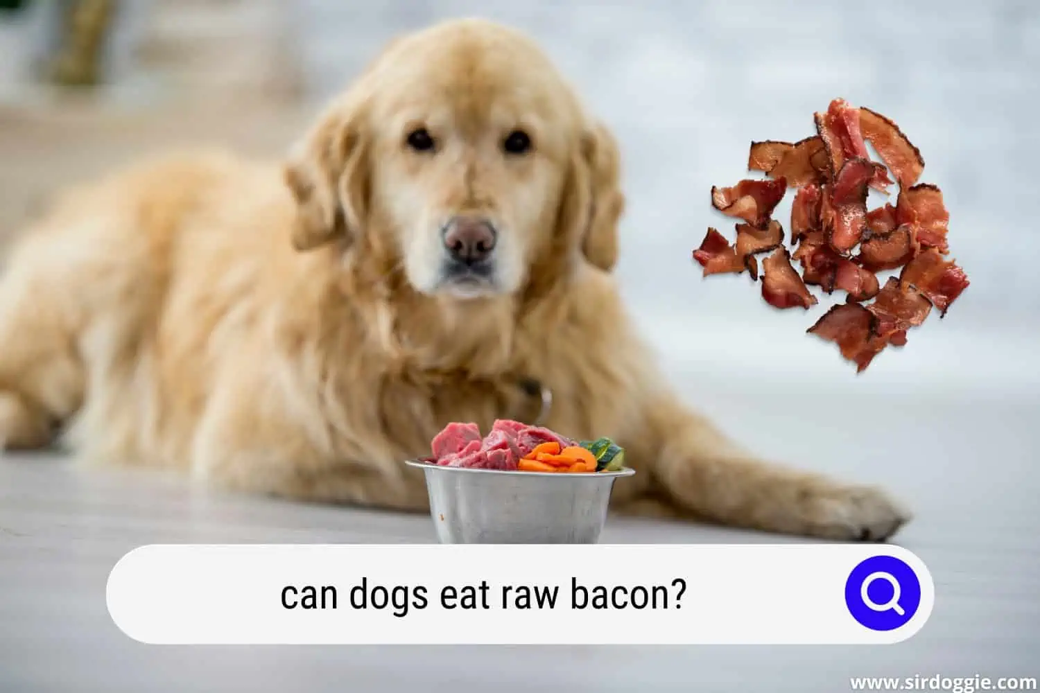 can dogs eat raw bacon