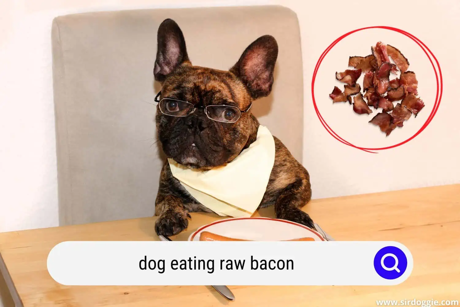 dog eating raw bacon