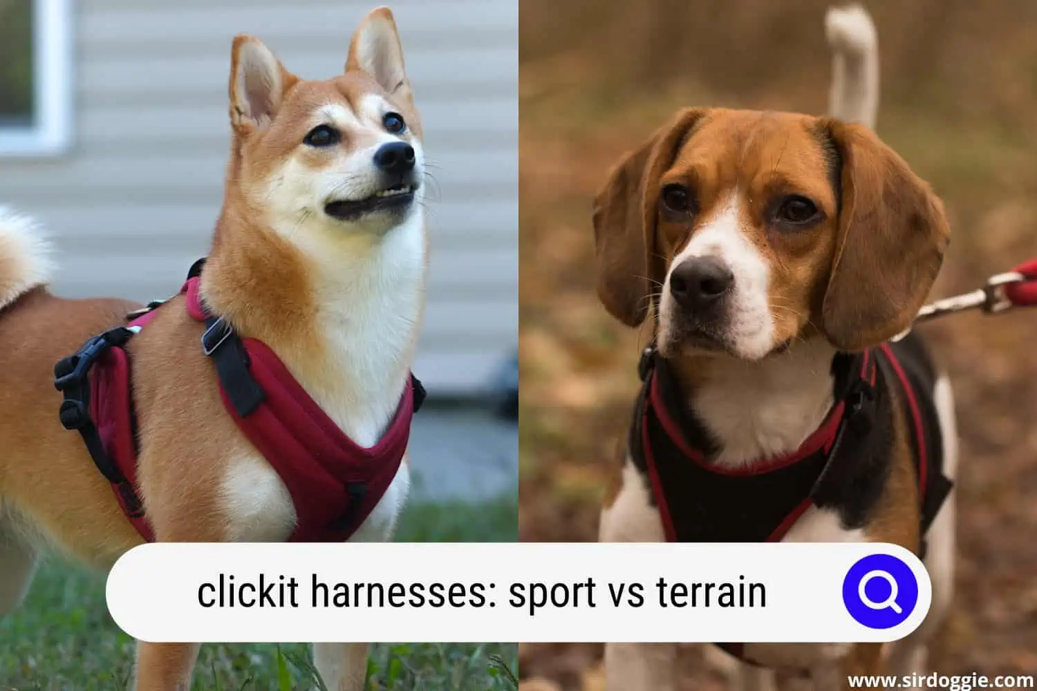 clickit sport vs terrain