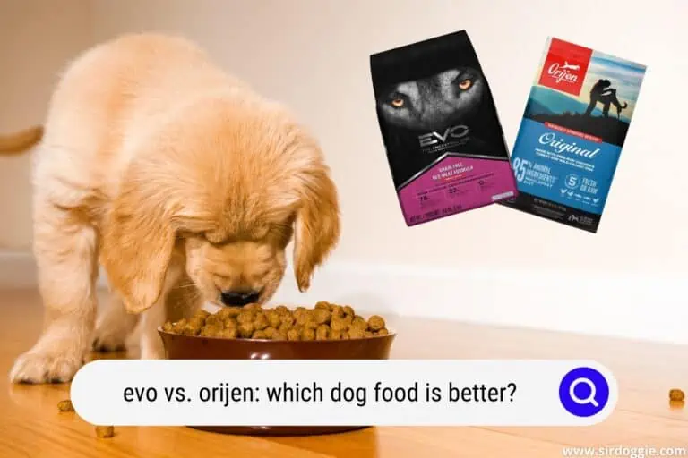EVO vs. Orijen: Which Dog Food is Better?