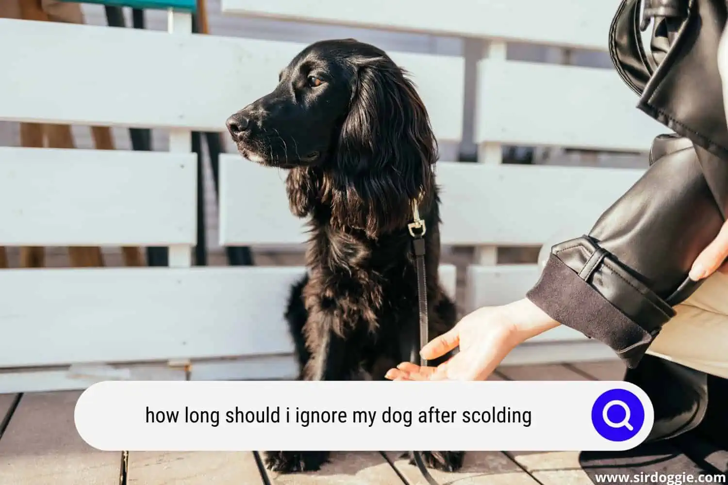 how long should i ignore my dog after scolding