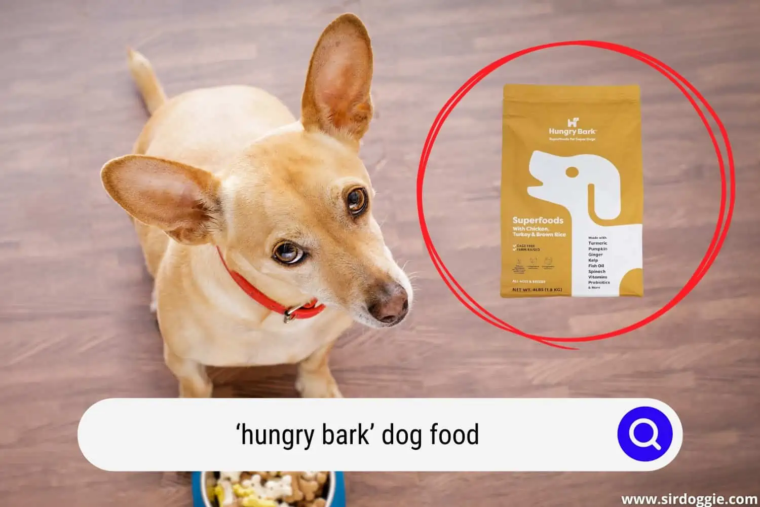 hungry bark dog food