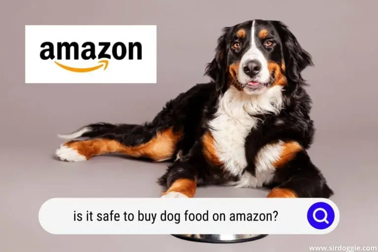 Is it Safe to Buy Dog Food on Amazon?