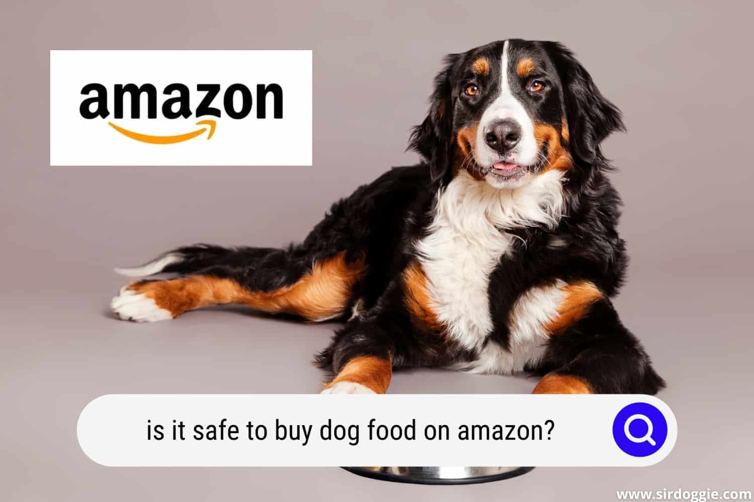 Is it Safe to Buy Dog Food on Amazon?