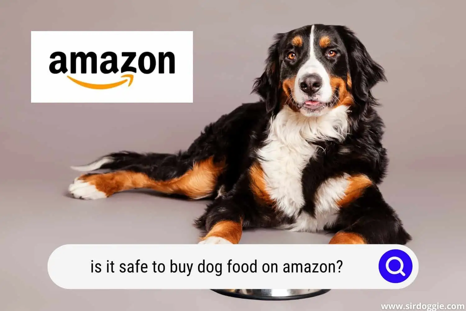is it safe to buy dog food on amazon