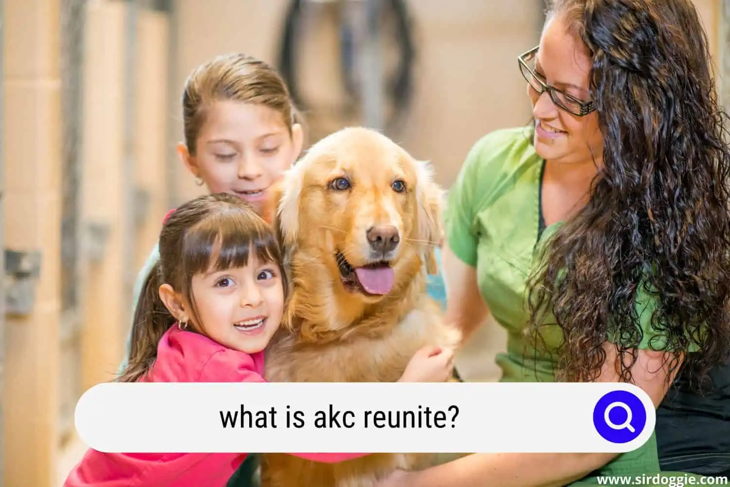 what is akc reunite