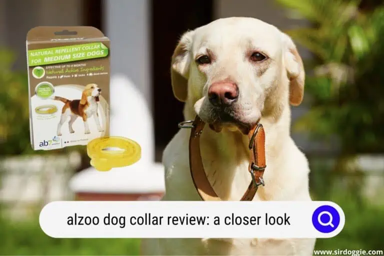 Alzoo Dog Collar Review: A Close-Up Look
