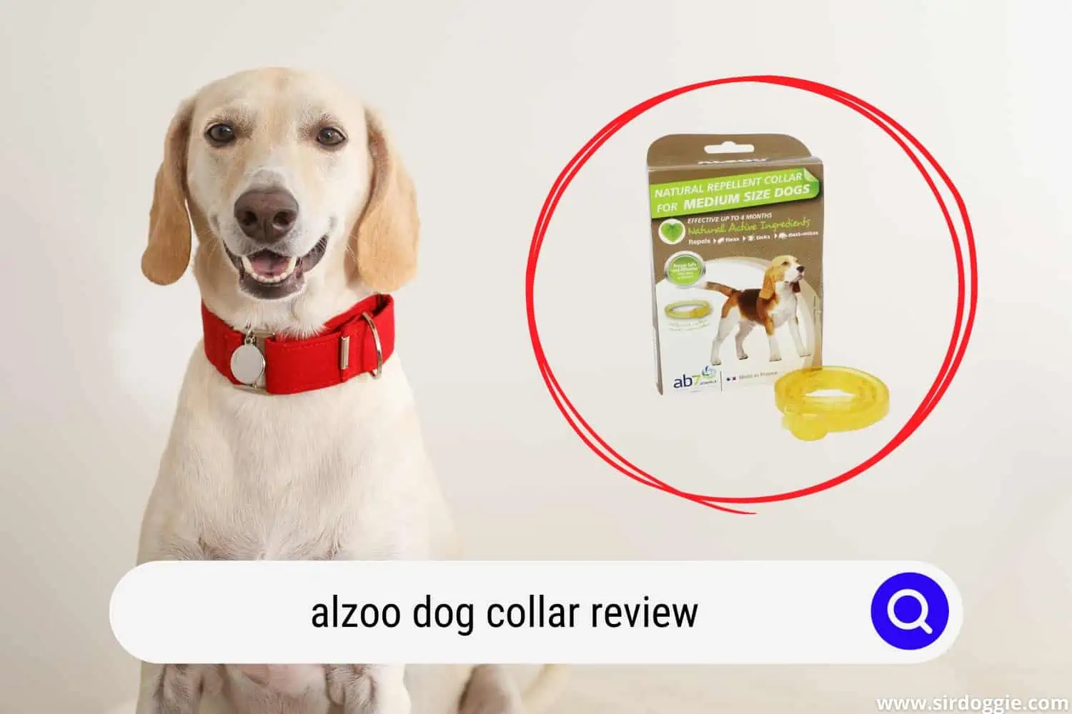 alzoo dog collar review