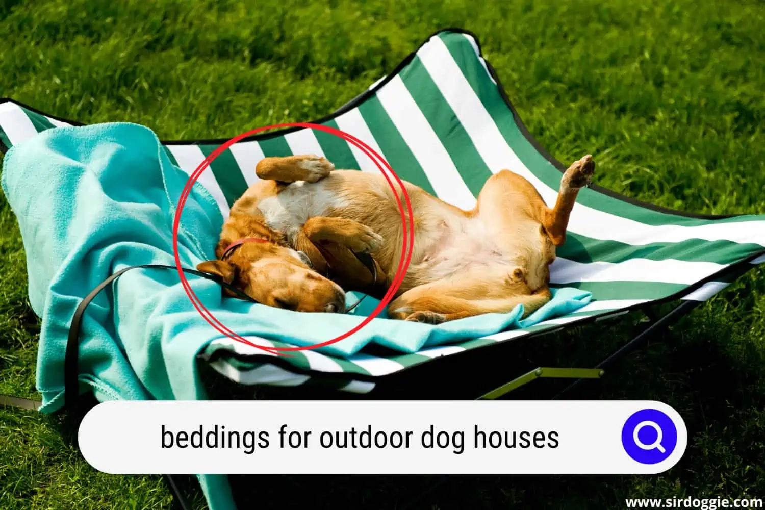 beddings for outdoor dog houses