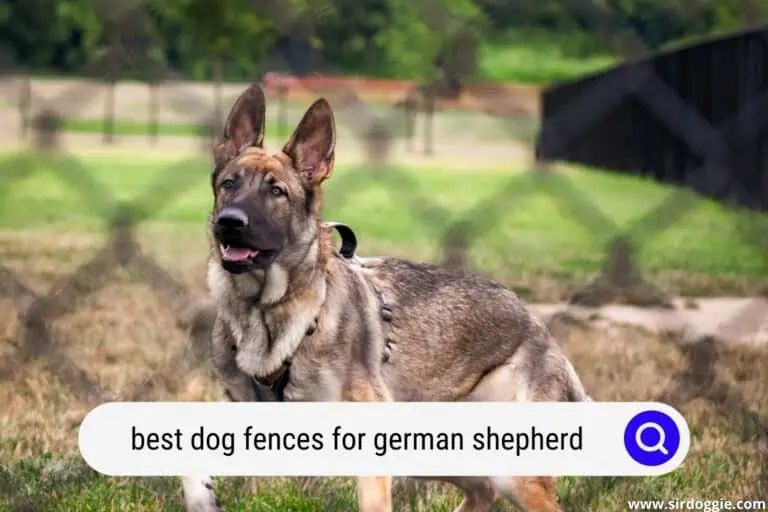 7 Best Dog Fences for German Shepherds for 2024