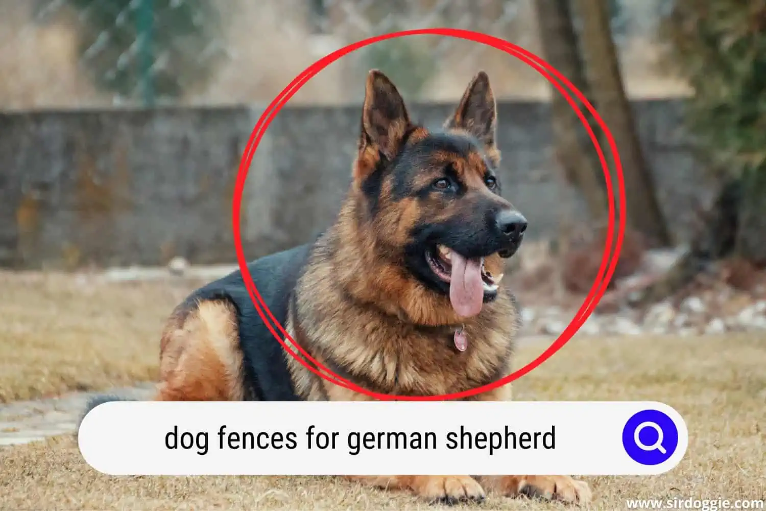 dog fence for german shepherd