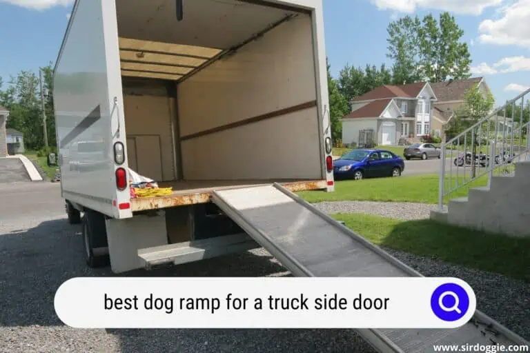 4 Best Dog Ramps for a Truck Side Door for 2023