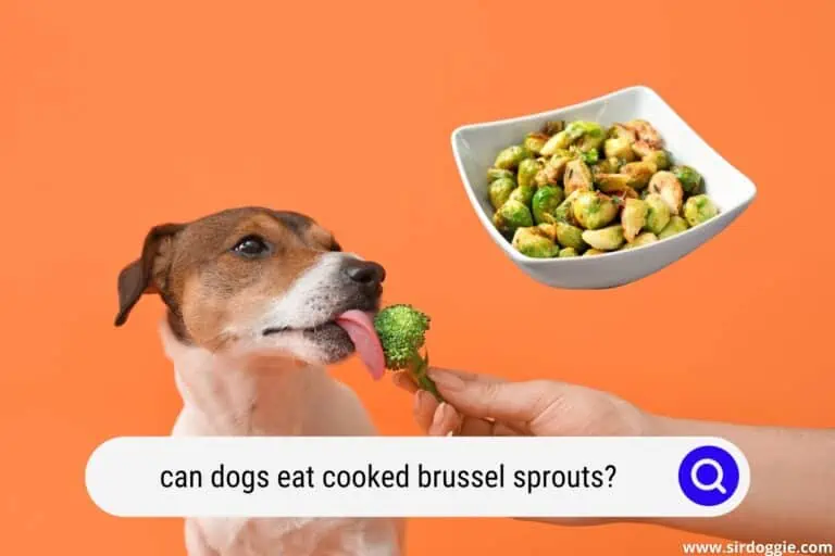Can Dogs Eat Cooked Brussel Sprouts? Benefits and The Best Cooking Methods