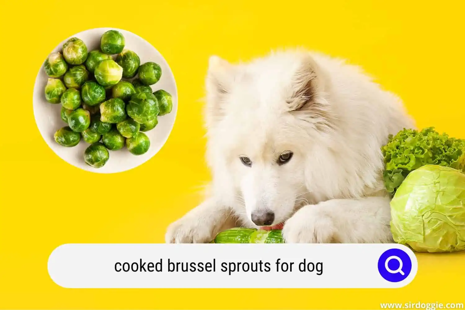 cooked brussel sprouts for dog