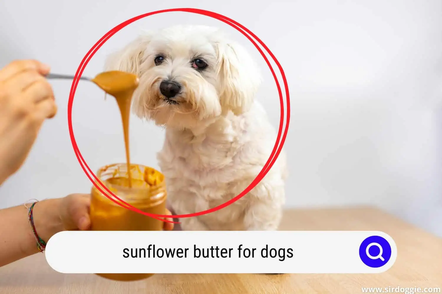 sunflower butter for dogs