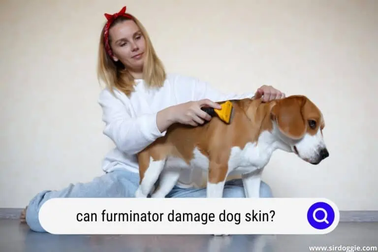 Can Furminator Damage Dog Skin?