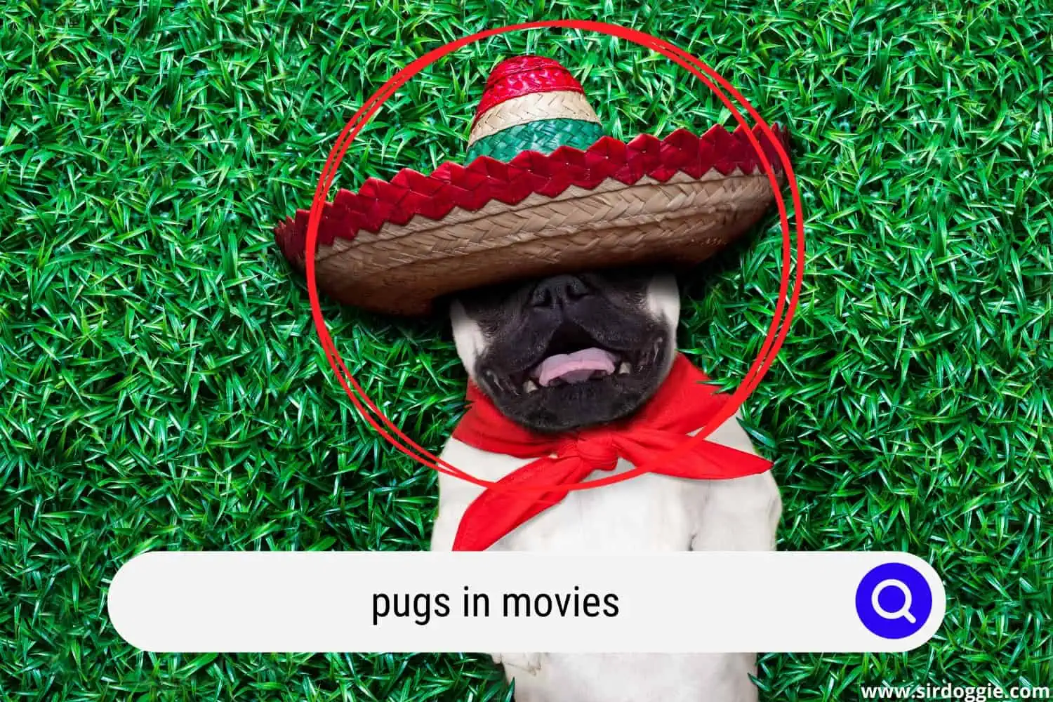 pugs in movies