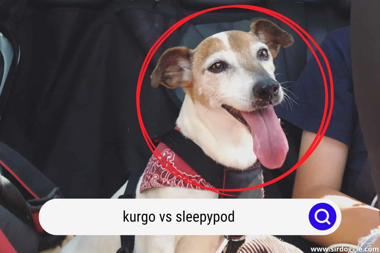 kurgo vs sleepypod