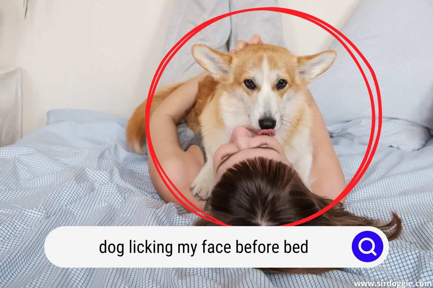 dog licking my face before bed