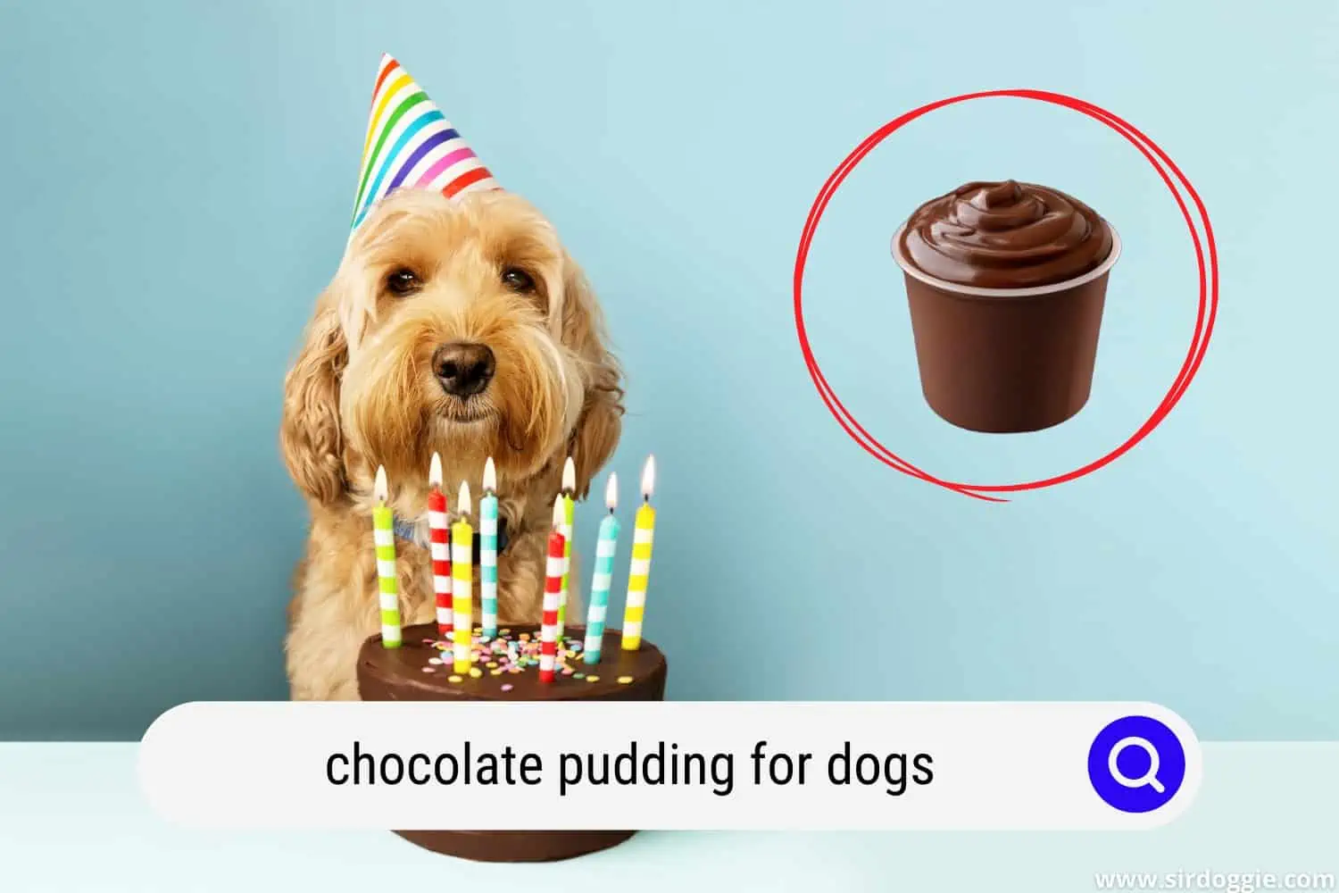 chocolate pudding for dogs