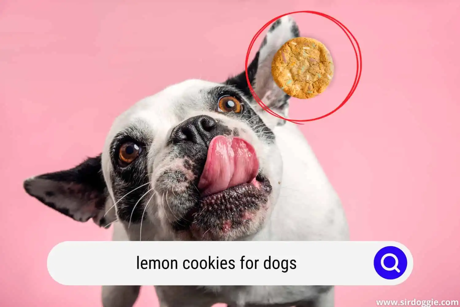 lemon cookies for dogs