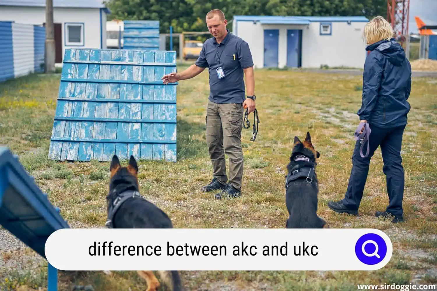 difference between akc and ukc