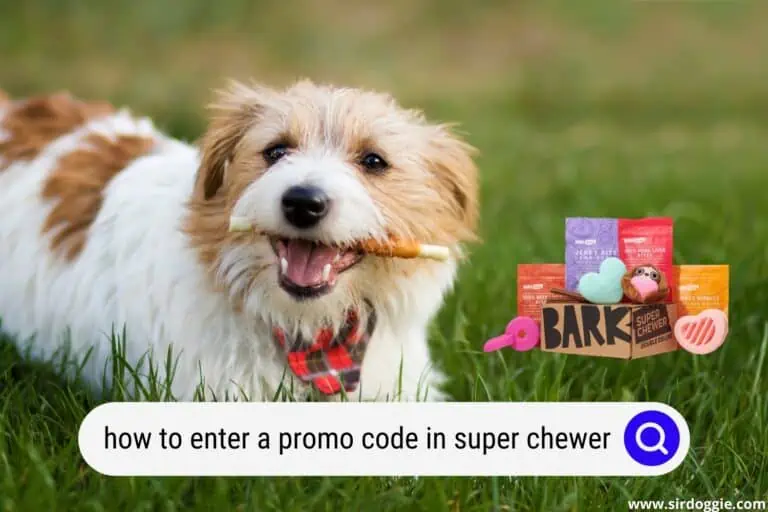 How To Enter a Promo Code on Barkbox (Super Chewer)