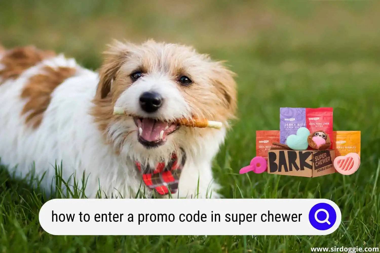 how to enter promo code in super chewer