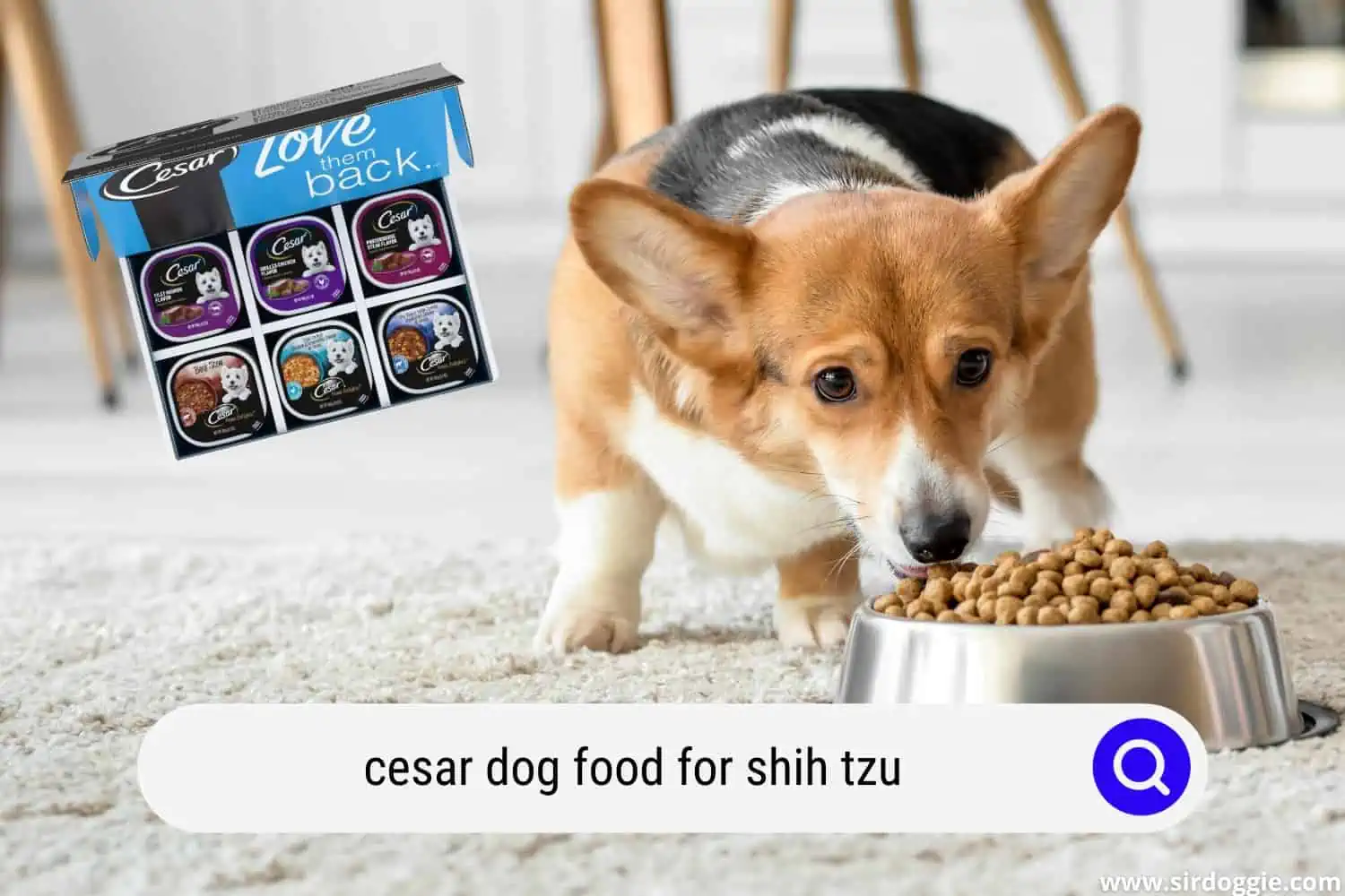 cesar dog food for shih tzu
