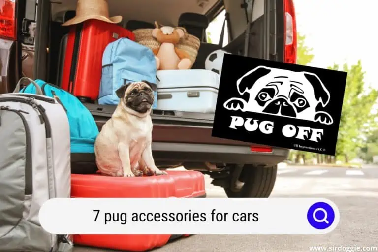 pug accessories for cars