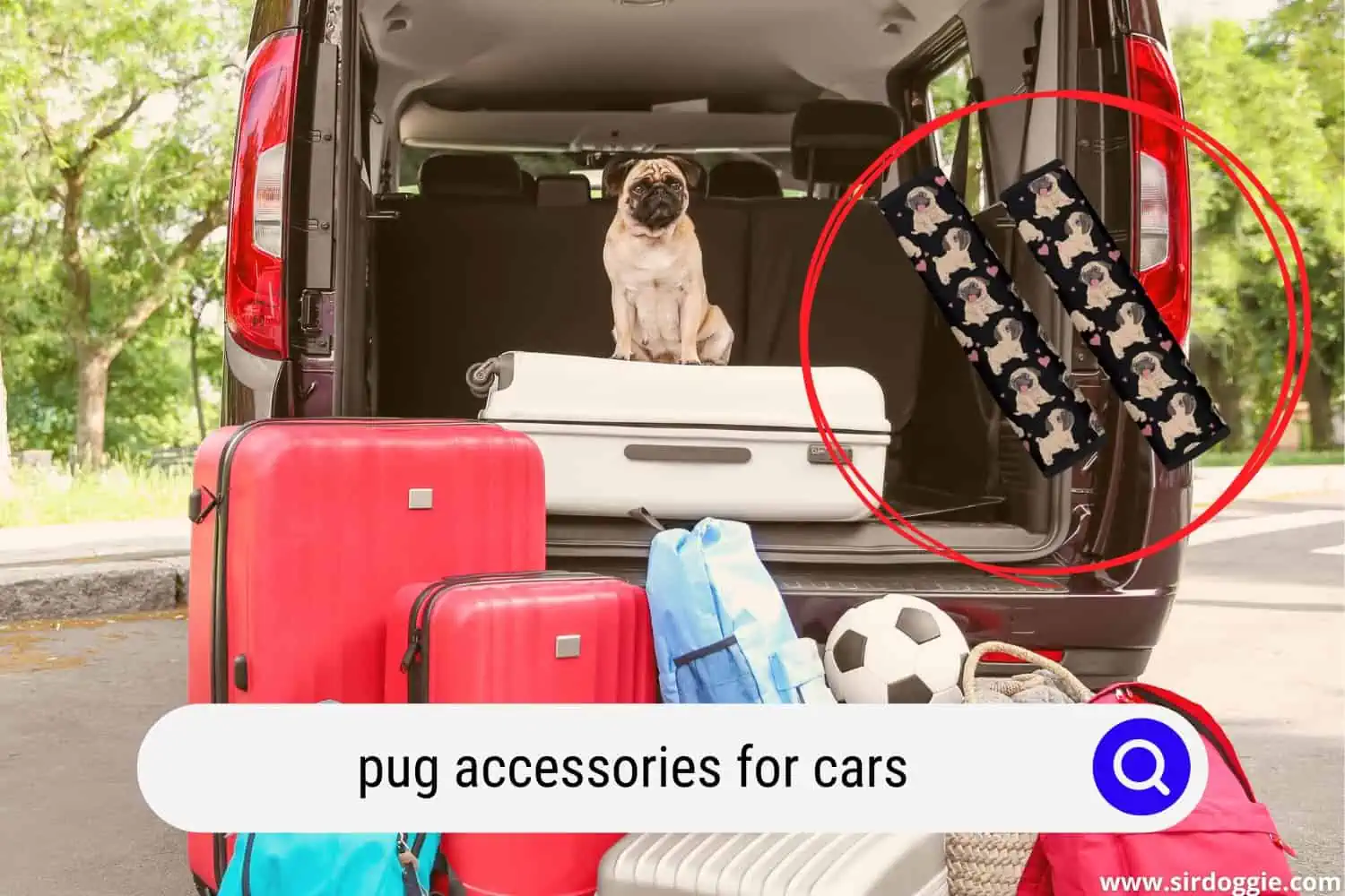 pug accessories for cars