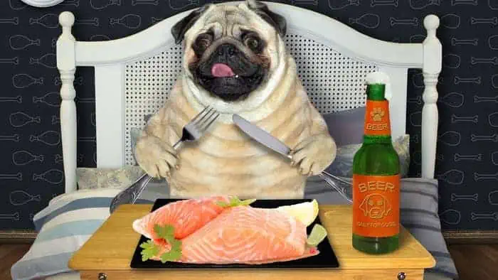 Safe Seafood Types for Dogs