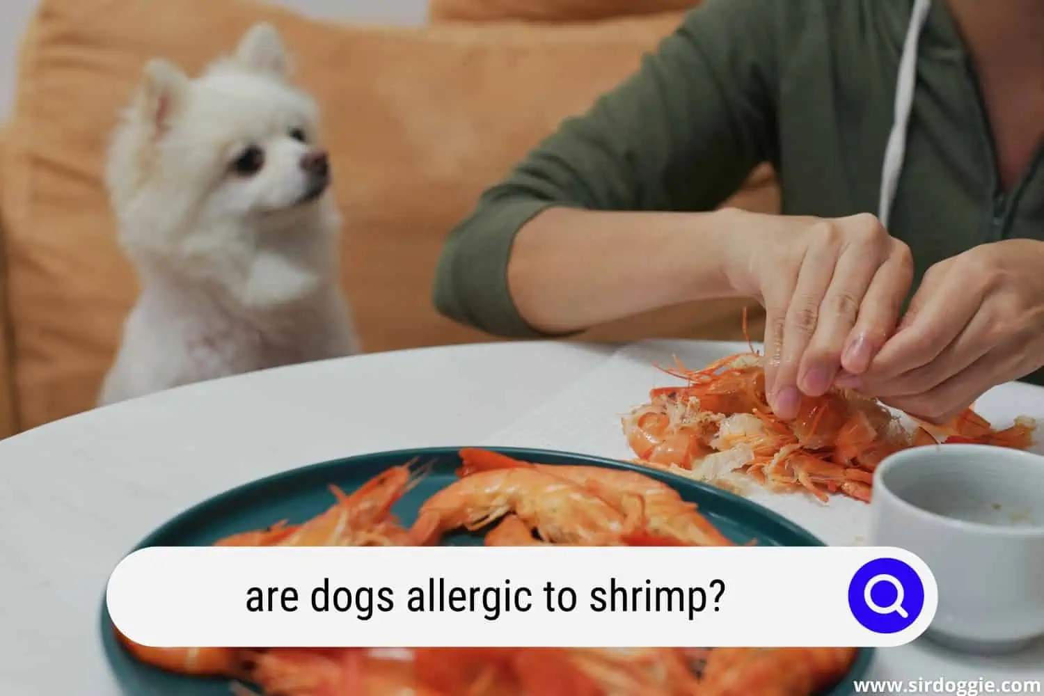 are dogs allergic to shrimp