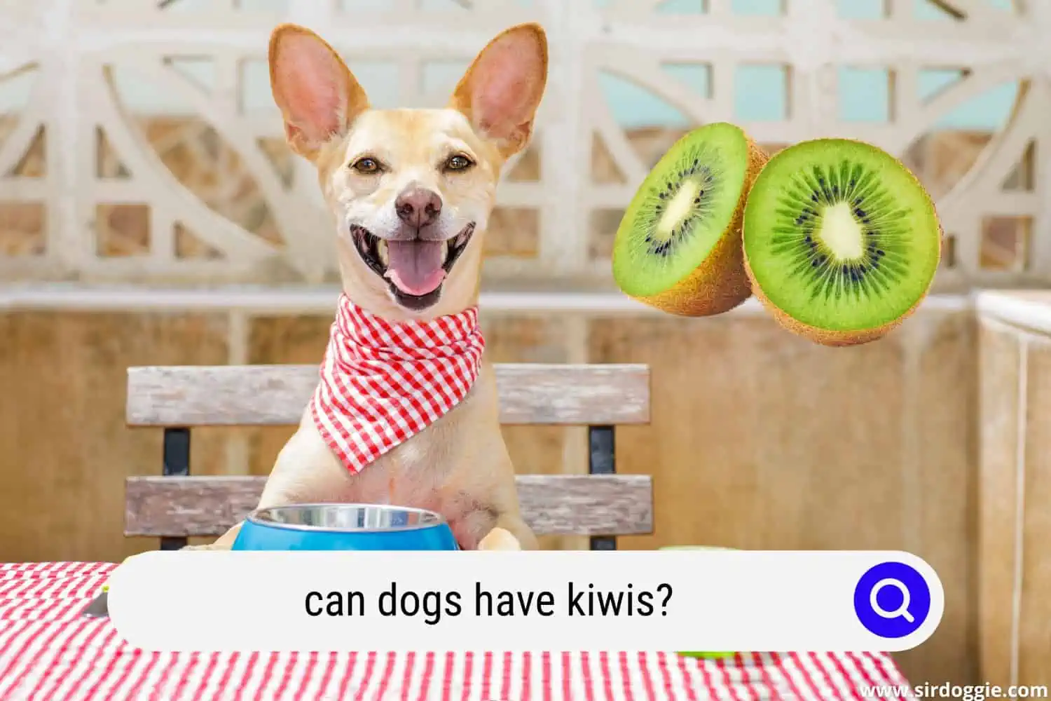 can dogs have kiwis