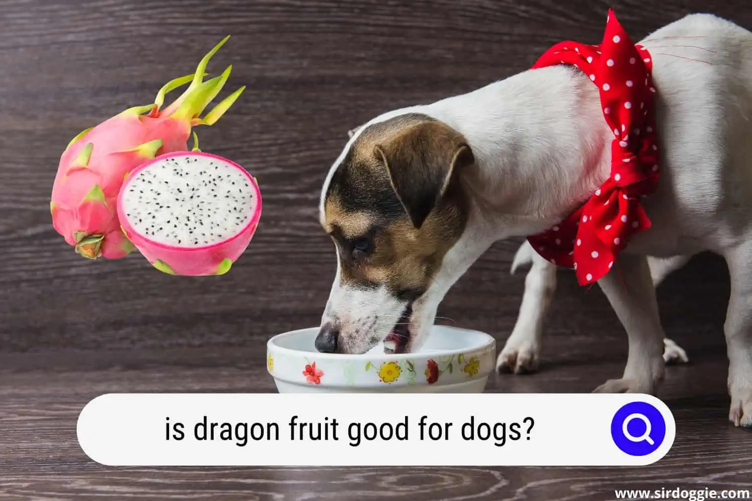 is dragon fruit good for dogs