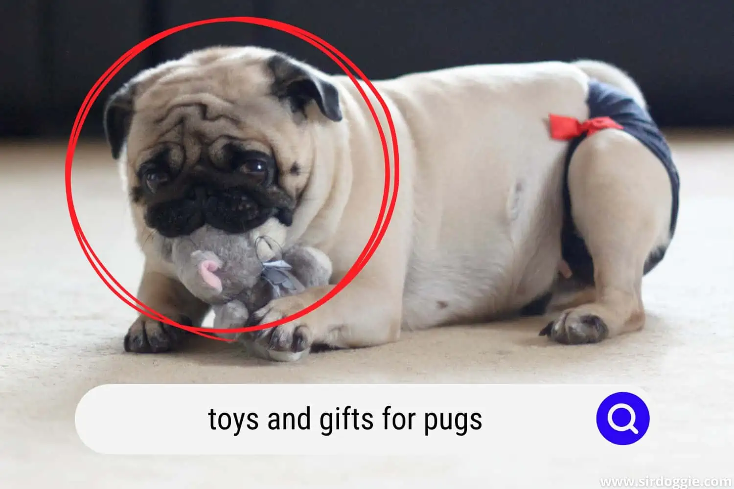toys and gifts for pugs
