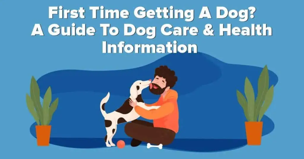 infographic first time getting dog guide