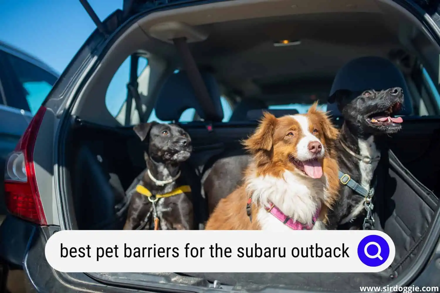 best pet barriers for the subaru outback