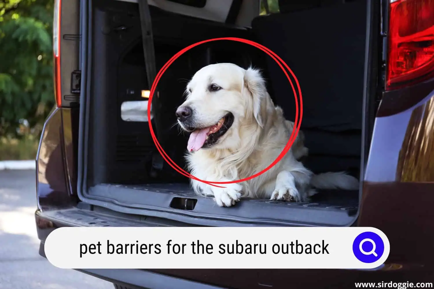 pet barriers for the subaru outback