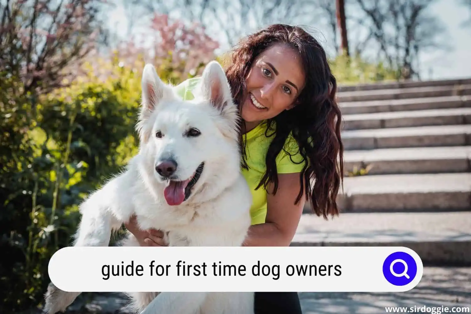 first time dog owner guide