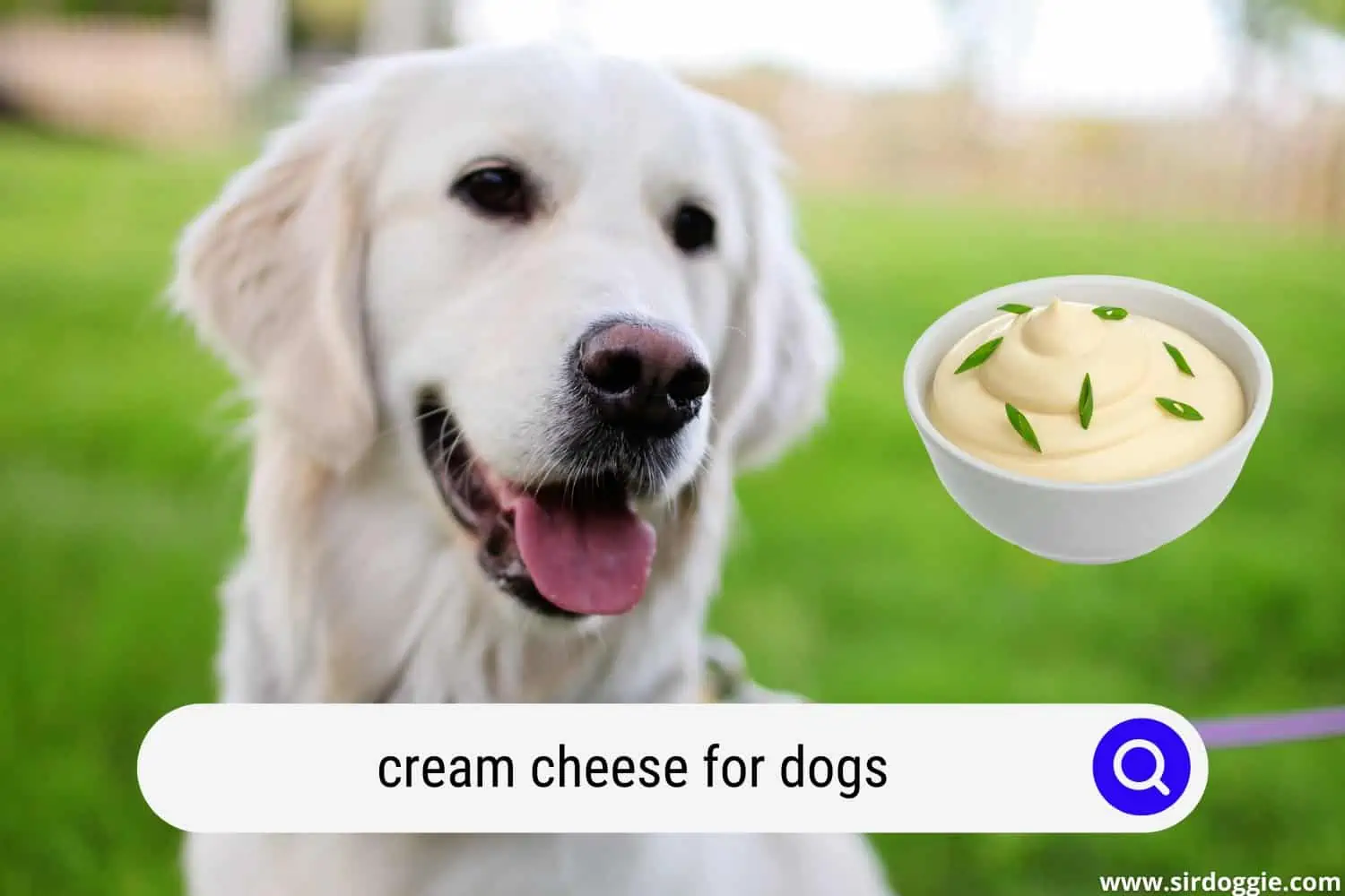 cream cheese for dogs