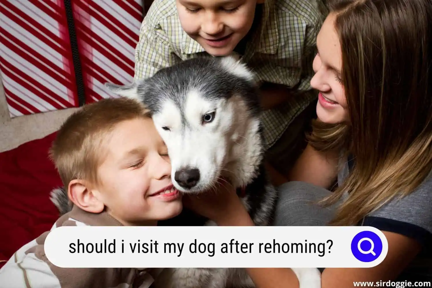 should i visit my dog after rehoming