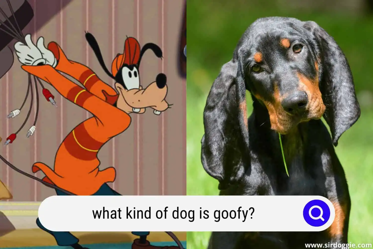 what kind of dog is goofy
