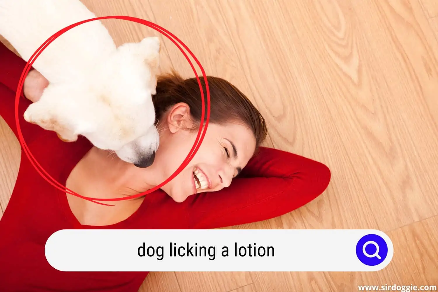 dog licking owner on neck